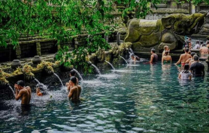 Bali: monkey forest, rice terrace, water temple, waterfall - FAQ