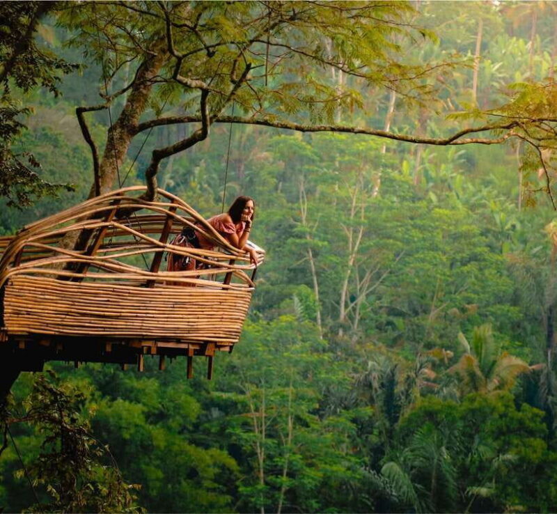 Bali: Monkey Forest, Tegalalang, Uluwatu & Kecak Dance Tour - Key Points