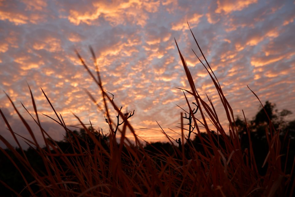 Bali: Mount Batur Entry Ticket on a Guided Hike or Jeep Ride - Booking and Reservation Info