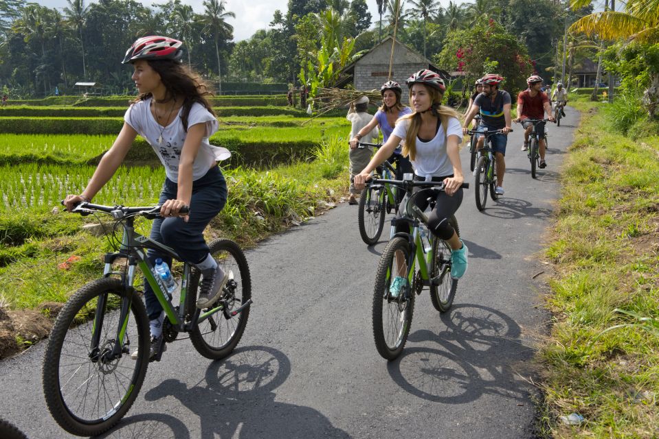 Bali: Mount Batur Mountain Biking Adventure With Lunch - Discover Hindu Temples and Rice Fields