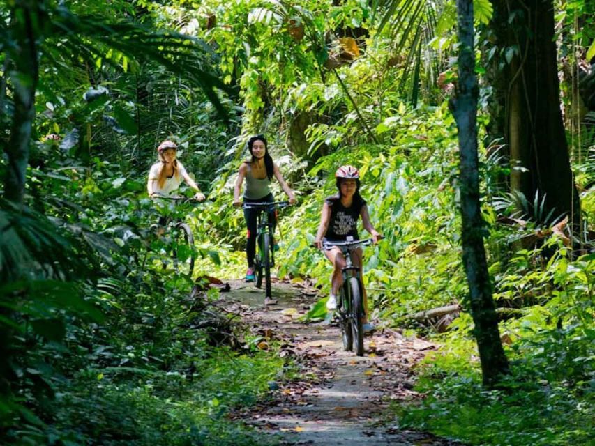 Bali: Mount Batur Mountain Biking Adventure With Lunch - Relax With Included Lunch