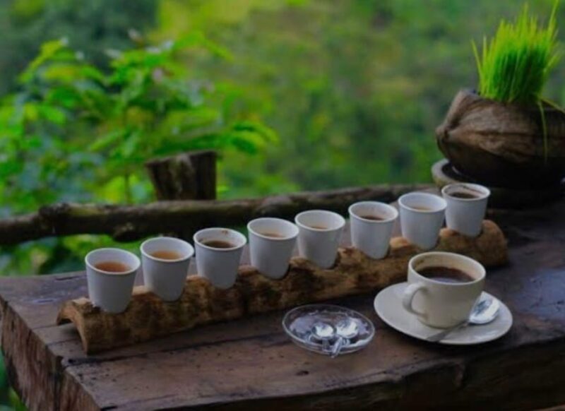 Bali : Mount Batur Sunrise Jeep Tour With Hotspring - Customer Reviews