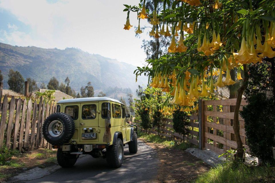 Bali: Mount Bromo and Kawah Ijen 3-Day Volcanic Trip - Sunrise and Crater Exploration