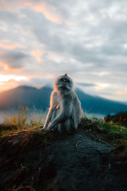 Bali Mt. Batur Sunrise Trekking and Batur Natural Hot Spring - Included in the Package