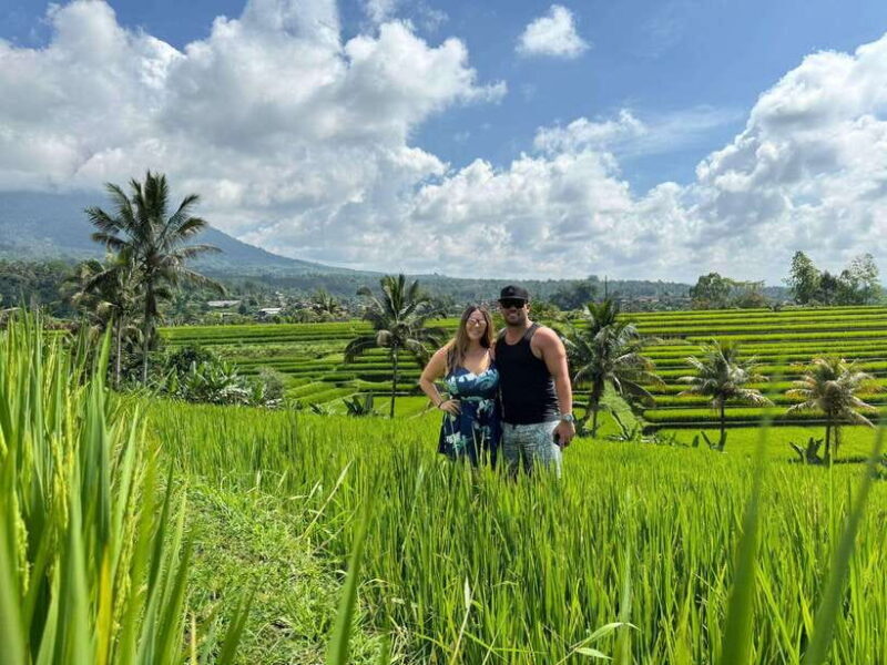 Bali: North Bali Customizable itineraries Trip with Transfer - Bali: North Bali Customizable Itineraries Trip with Transfer — A Deep Dive