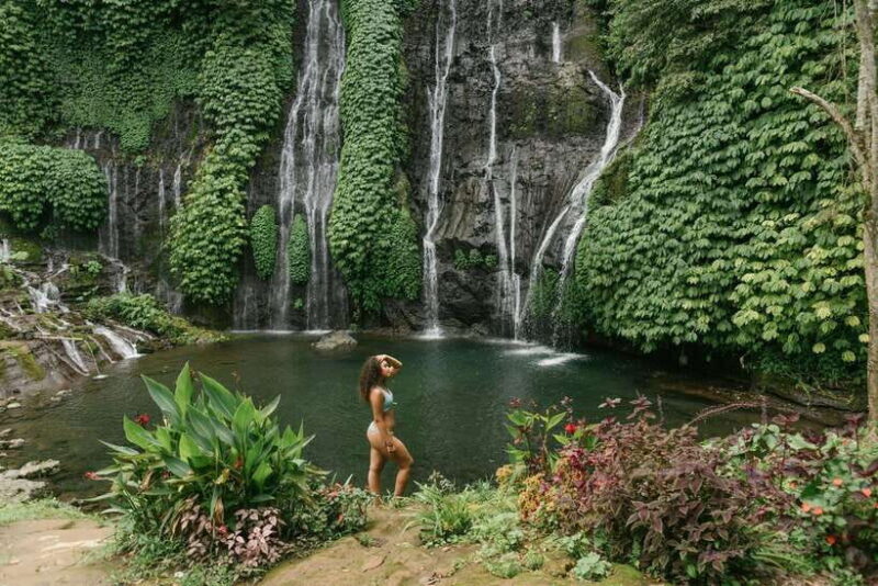 Bali: North Bali Customizable itineraries Trip with Transfer - An In-Depth Look at the North Bali Tour Experience