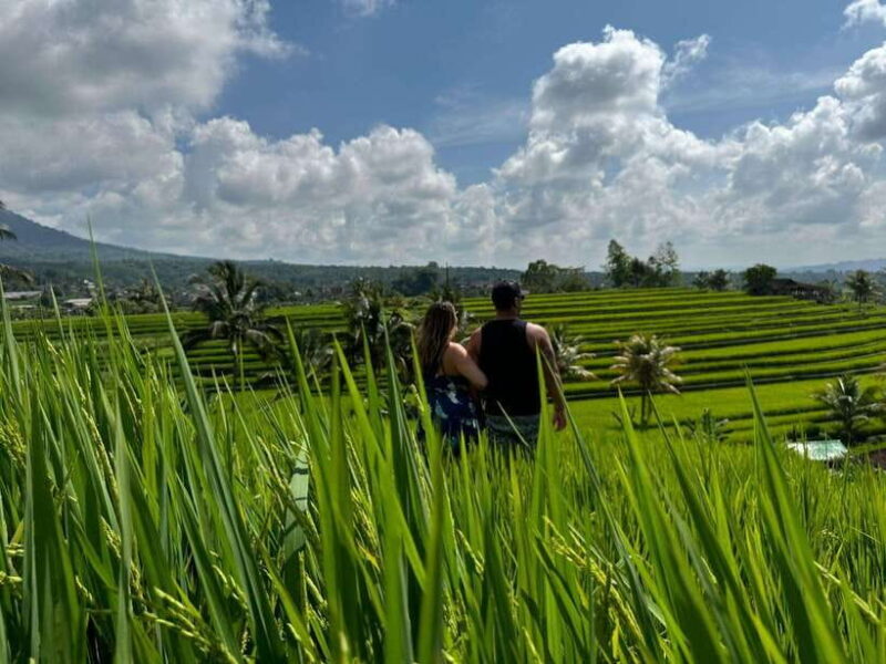 Bali: North Bali Customizable itineraries Trip with Transfer - The Sum Up