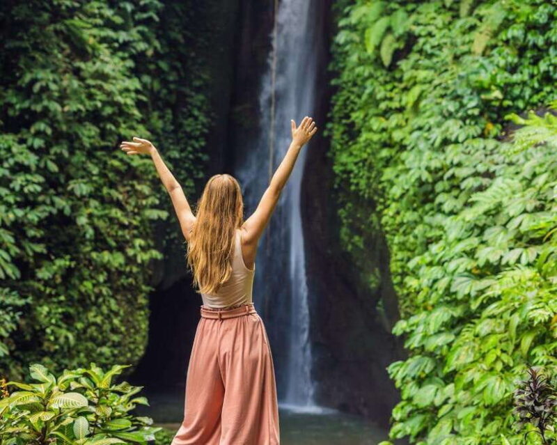 Bali: North Bali Tour with Jatiluwih, Ulun Danu, Waterfall. - The Bottom Line: Who Should Consider It?  