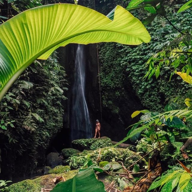 Bali: Northern Bali Private Day Trip With Hotel Transfers - Key Points