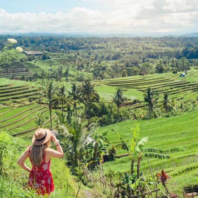 Bali: Northern Bali Private Day Trip With Hotel Transfers - Inclusions and Exclusions