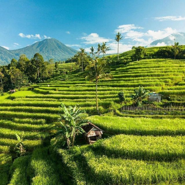 Bali: Northern Bali Private Day Trip With Hotel Transfers - Booking and Availability