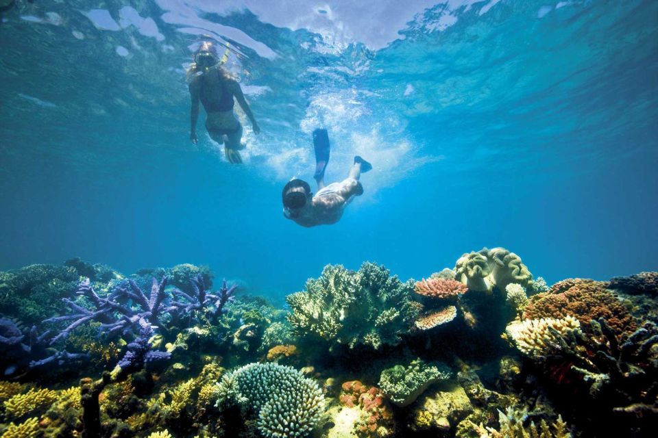 Bali: Nusa Lembongan All-Inclusive Island & Snorkeling Tour - Pricing and Booking
