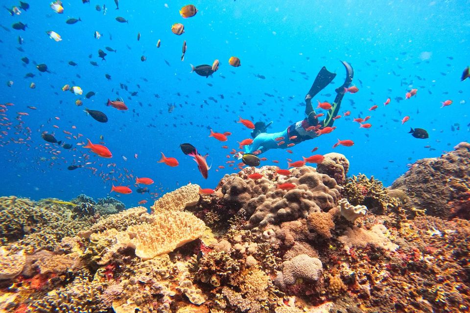 Bali: Nusa Lembongan Snorkeling & Mangrove Forest Trip - Convenient Hotel Transfers