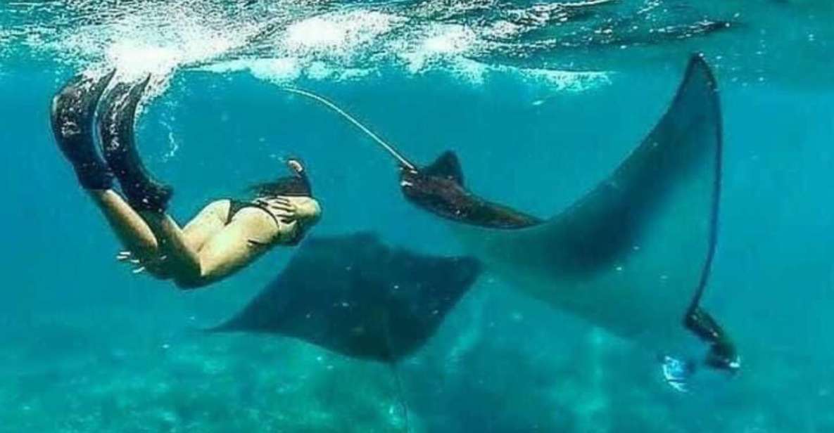 Bali - Nusa Penida Highlight Snorkeling and Land Tour - Swim With Majestic Manta Rays