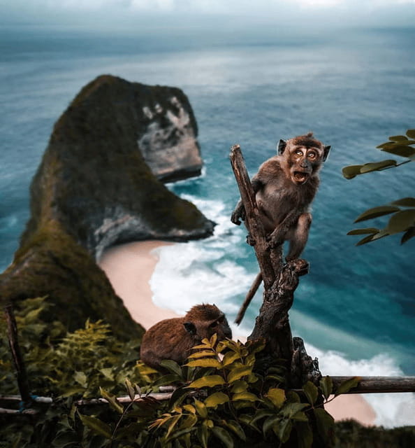 Bali/Nusa Penida: Highlight West Full-Day Nature Tour & Lunch - Key Points