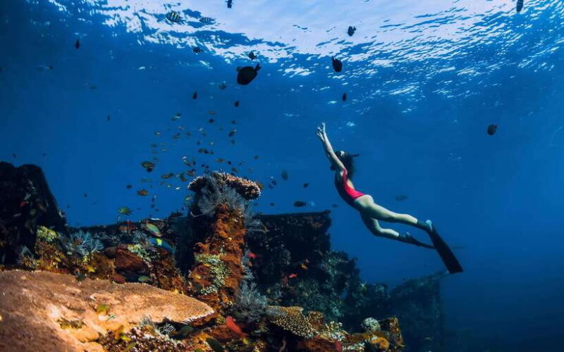 Bali/Nusa Penida: Manta Point Snorkel Boat & West Coast Tour - Key Points