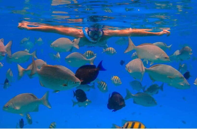 Bali/Nusa Penida: Manta Point Snorkel Boat & West Coast Tour - Returning & Optional Add-Ons
