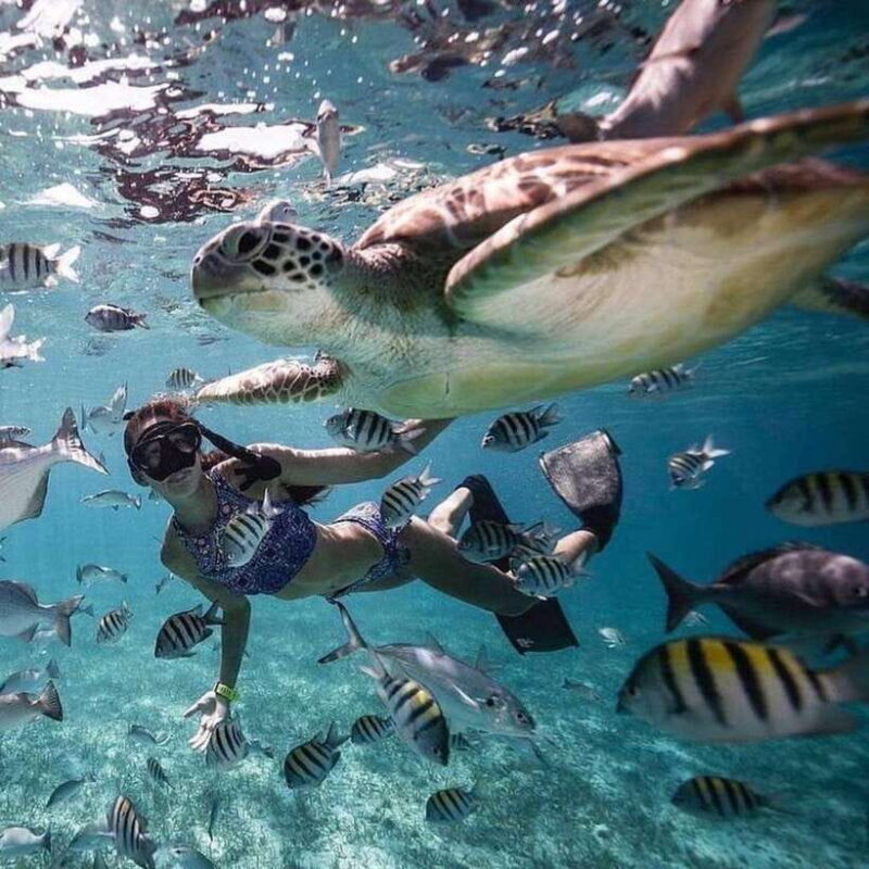 Bali: Nusa Penida Manta Snorkeling Tour & Beach Club Access - Navigating the Tour: What You Can Expect