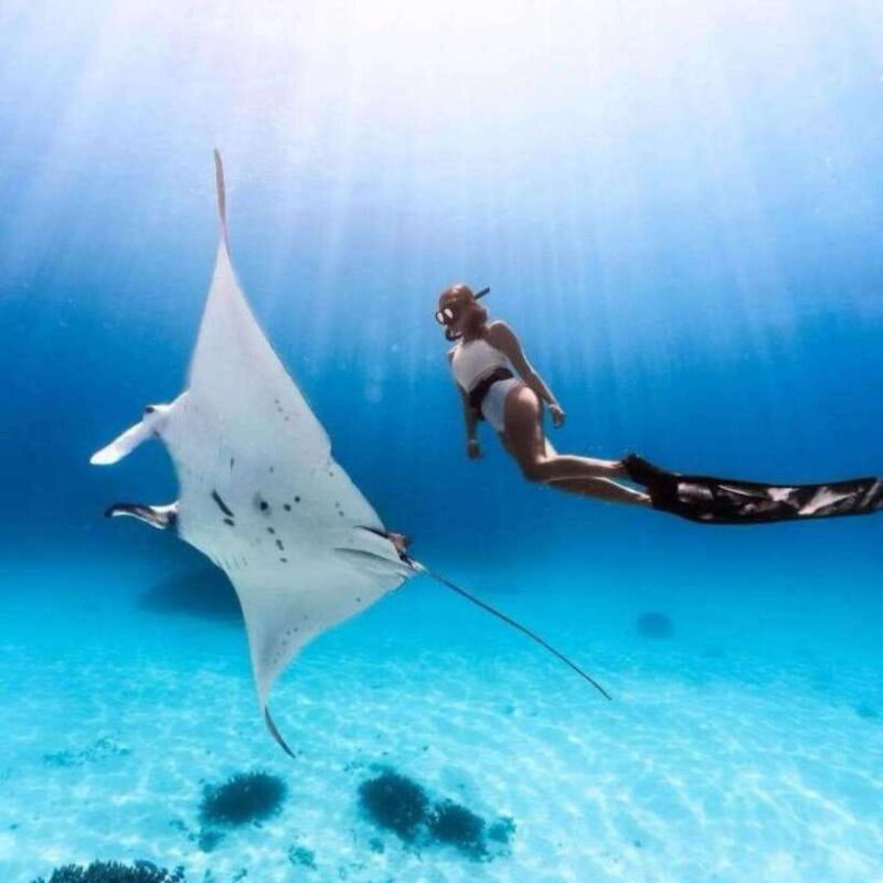 Bali: Nusa Penida Manta Snorkeling Tour & Beach Club Access - The Experience: What You’ll Love