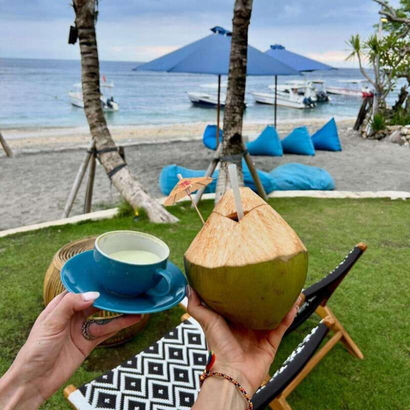 Bali: Nusa Penida Manta Snorkeling Tour & Beach Club Access - Final Thoughts