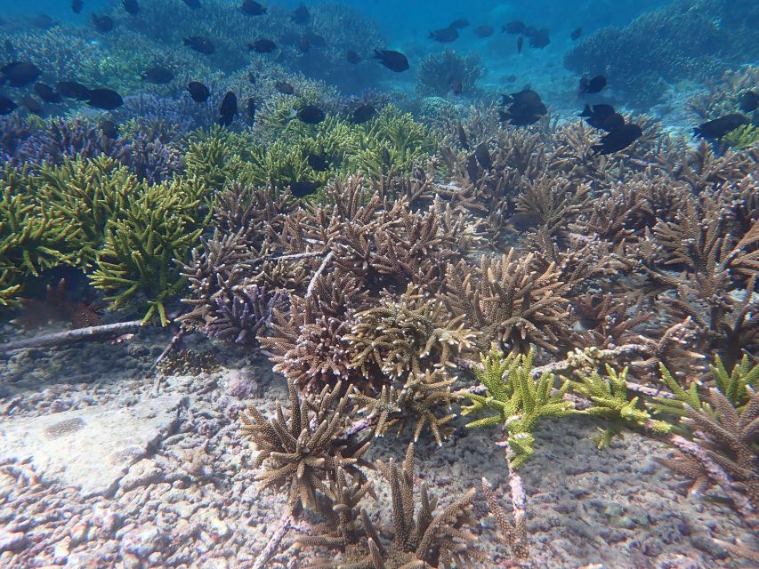 Bali, Nusa Penida: One-Week Eco Tourism Program - Frequently Asked Questions
