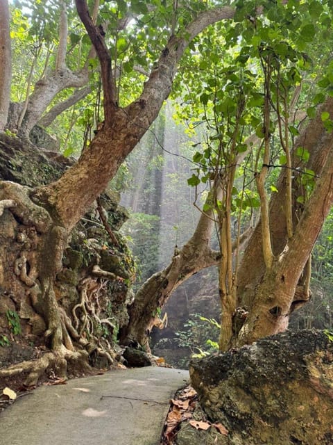 Bali : Nusa Penida Private Day Tour With Guide - Inclusions