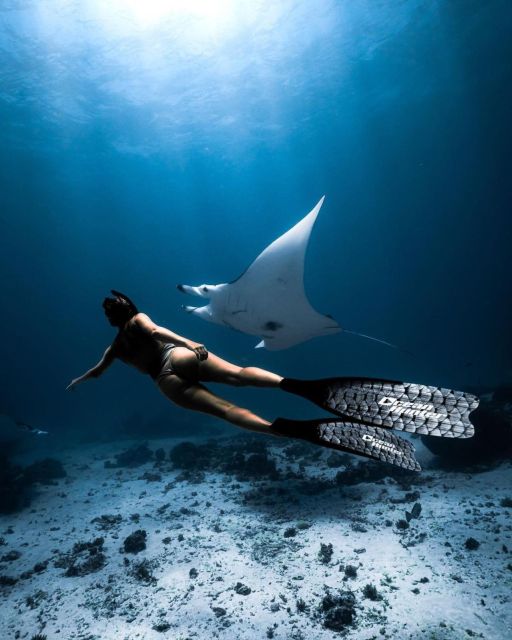 Bali Nusa Penida: Snorkeling and Land Tour All Inclusive - Snorkeling Highlights