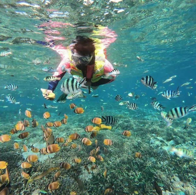 Bali Nusa Penida: Snorkeling and Land Tour All Inclusive - Land Tour Destinations