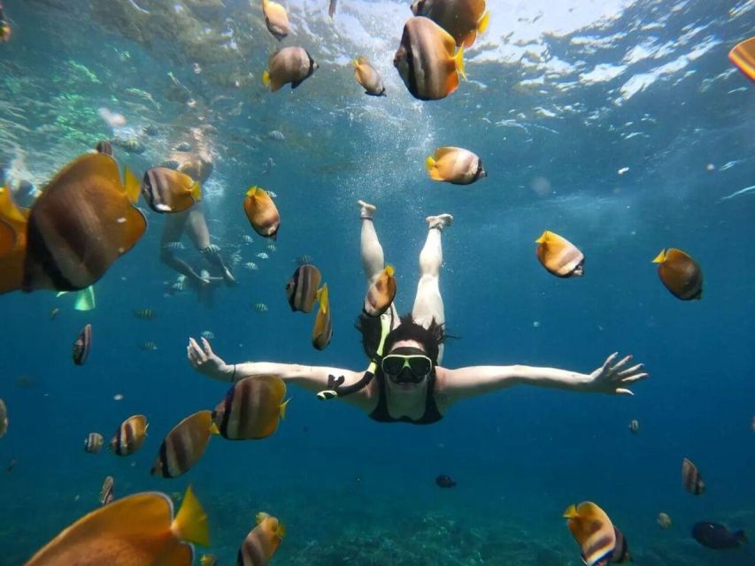 Bali Nusa Penida: Snorkeling and Land Tour All Inclusive - Included Amenities