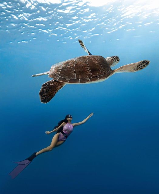 Bali Nusa Penida: Snorkeling and Land Tour All Inclusive - Important Considerations