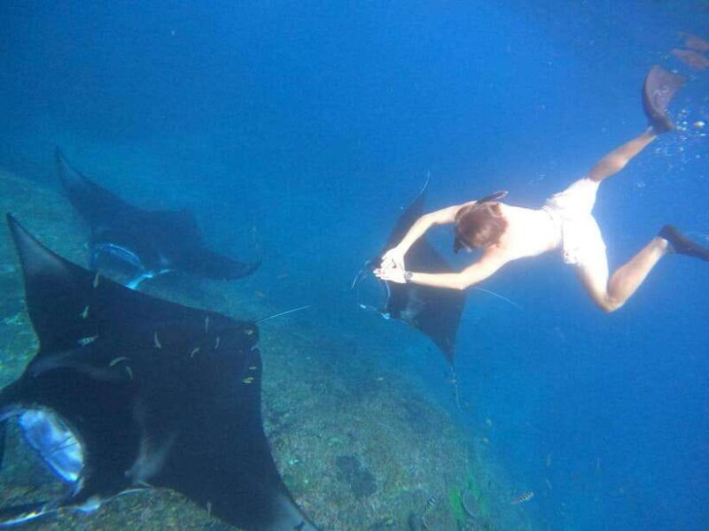 Bali Nusa Penida Snorkeling Manta Point - Who Should Consider This Tour?