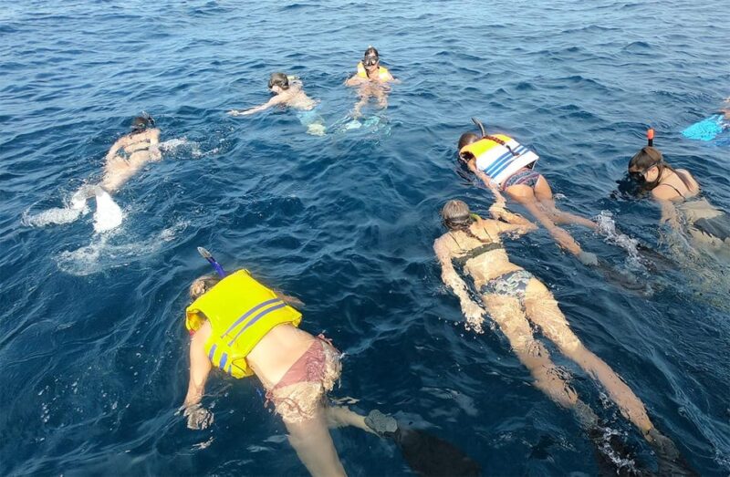 Bali: Nusa Penida Snorkeling Tour With Hotel Transfers - Good To Know