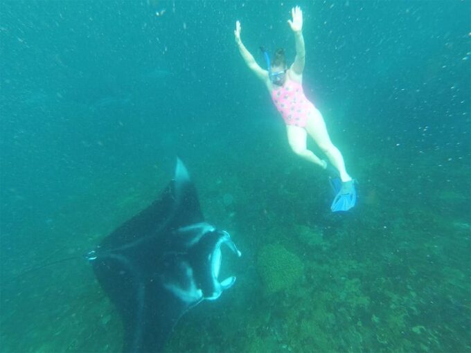 Bali: Nusa Penida Snorkeling Tour With Hotel Transfers - Effortless Snorkeling at Mangrove Point