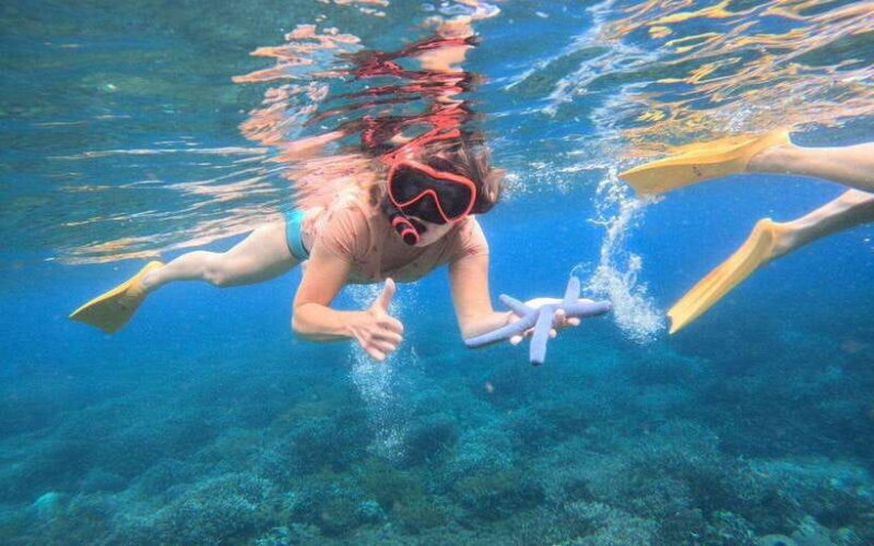 Bali: Nusa Penida: Snorkeling, West trip, lunch & speed boat - Introduction: Why This Tour Stands Out