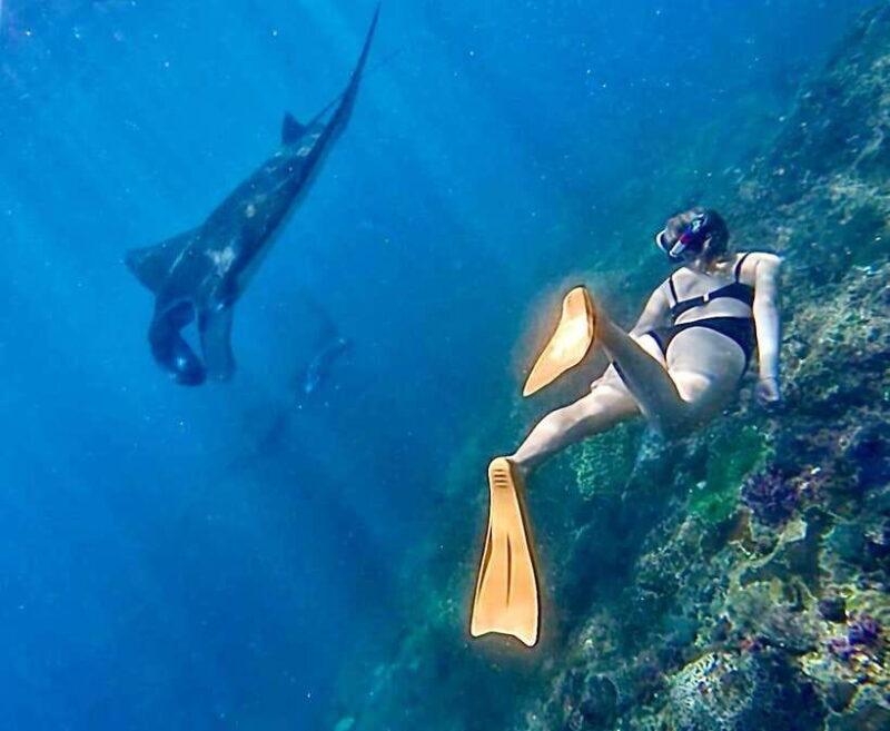 Bali: Nusa Penida: Snorkeling, West trip, lunch & speed boat - What Travelers Can Expect