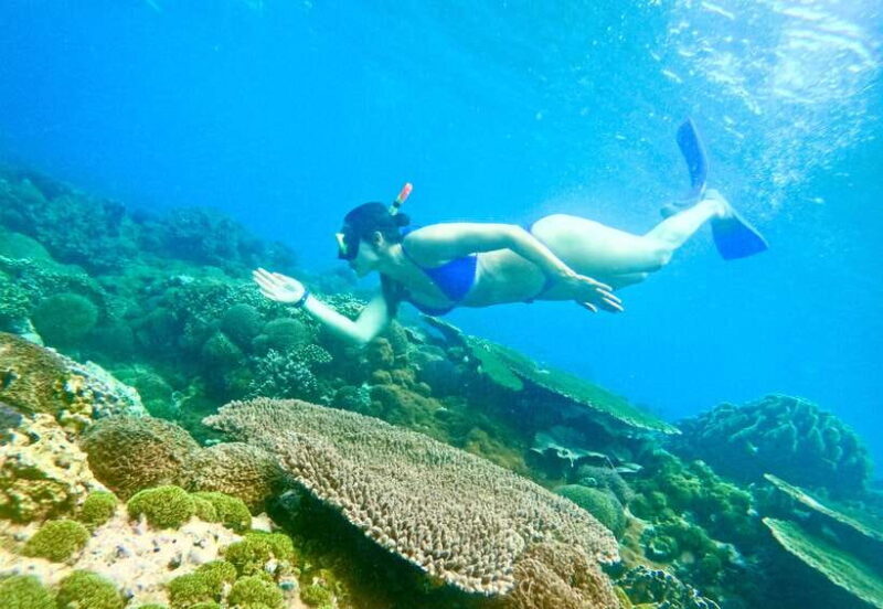 Bali: Nusa Penida: Snorkeling, West trip, lunch & speed boat - Pricing and Value: Is It Worth It?