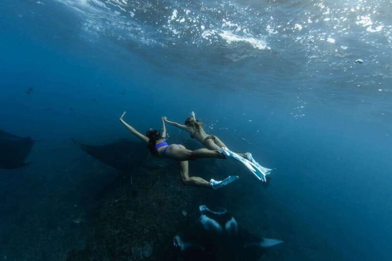 Bali: Nusa Penida Speedboat Trip with Snorkeling and Tour - The Value and What Sets It Apart