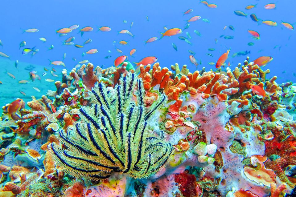 Bali: Padangbai Blue Lagoon Snorkeling Day Trip - Detailed Itinerary of the Day Trip