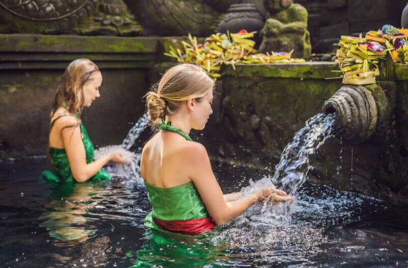 Bali: Penglipuran Village, Rice Terrace & Waterfall Tour - Key Points