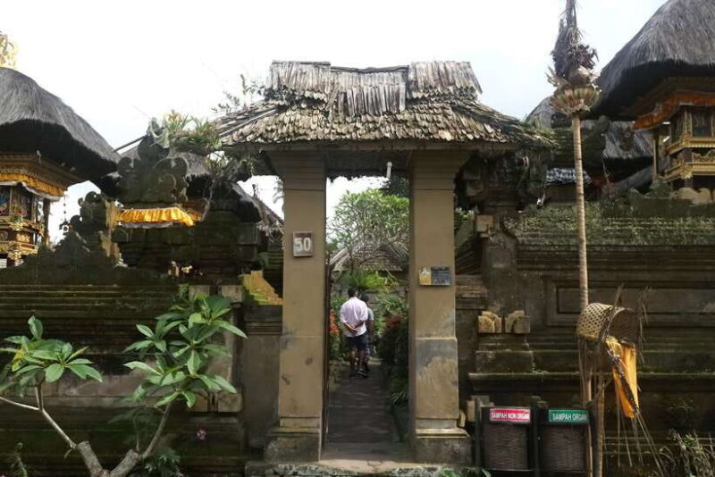 Bali: Penglipuran Village, Rice Terrace & Waterfall Tour - Who Should Consider This Tour?