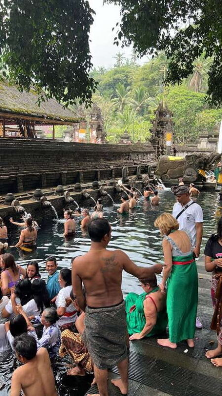 Bali: Penglipuran Village, Tirta Empul & Ubud All Incusive - Authentic Feedback from Past Travelers