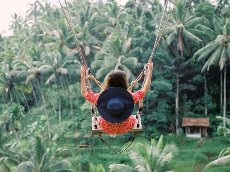Bali: Penglipuran Village, Tirta Empul & Ubud All Incusive - Final Thoughts