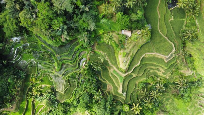 Bali: Photo and Videoshoot, Customized Private Tour, - Good To Know