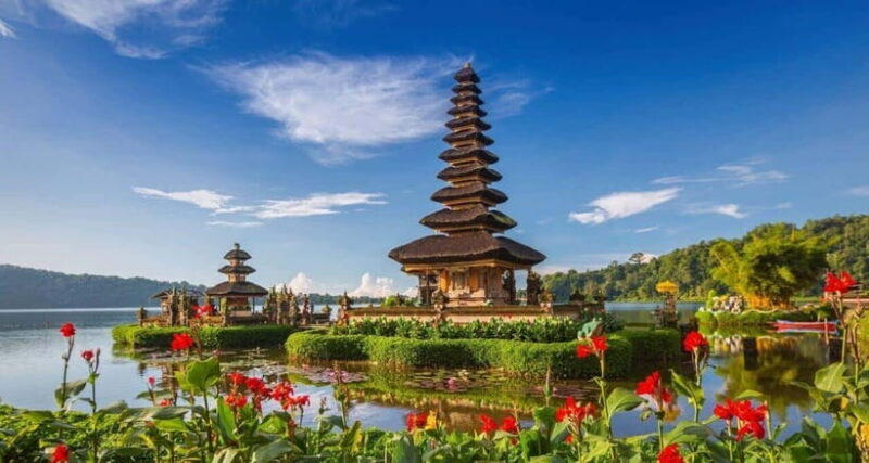 Bali: Picnic with Alpacas/Donkeys and Temple Tour - A Closer Look at the Itinerary