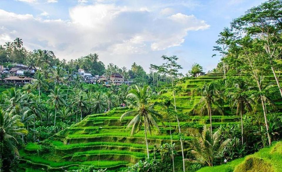 Bali Private Car Charter - Customization Options