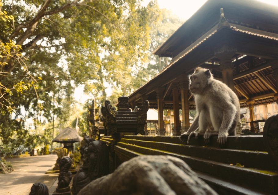 Bali: Private Car Charter With Driver - Pricing and Inclusions