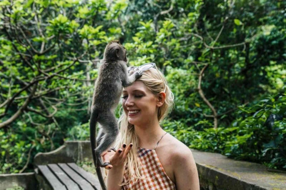 Bali: Private Car Charter With English-Speaking Driver - Inclusions and Exclusions