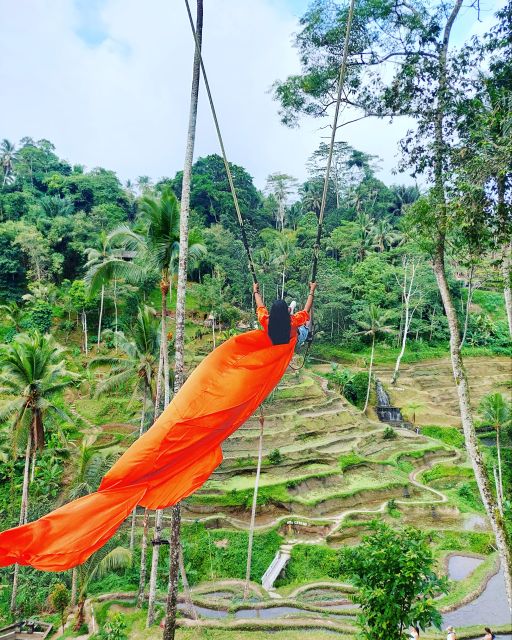 Bali: Private Car Charter With English Speaking - Highlights of the Tour