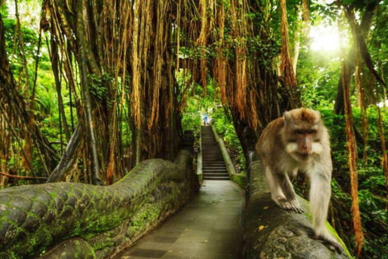 Bali: Private Car Charter with English's speaking driver - Exploring Bali on Your Terms: The Private Car Experience
