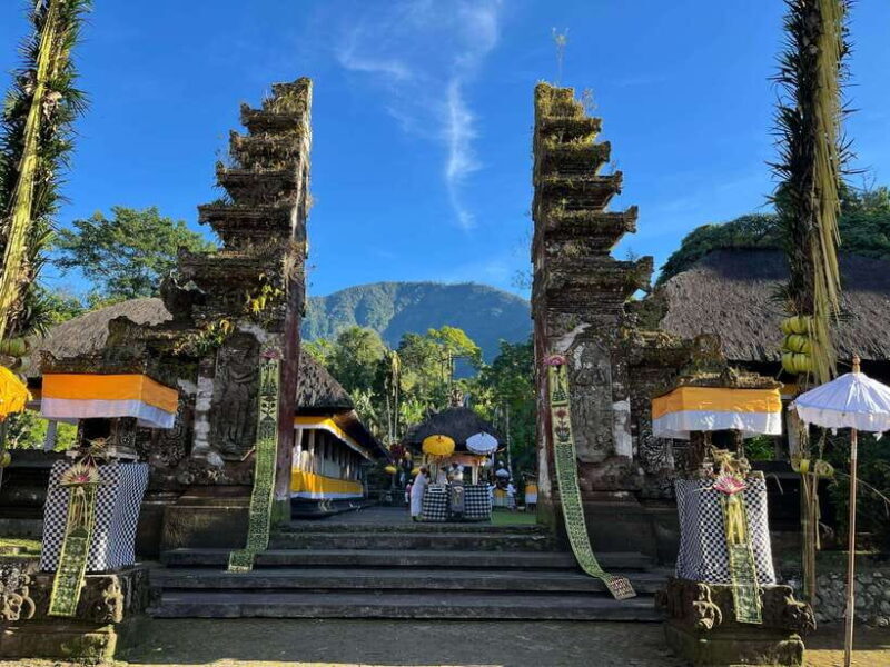 Bali: Private Car Charter with English's speaking driver - Who Should Consider This Tour?